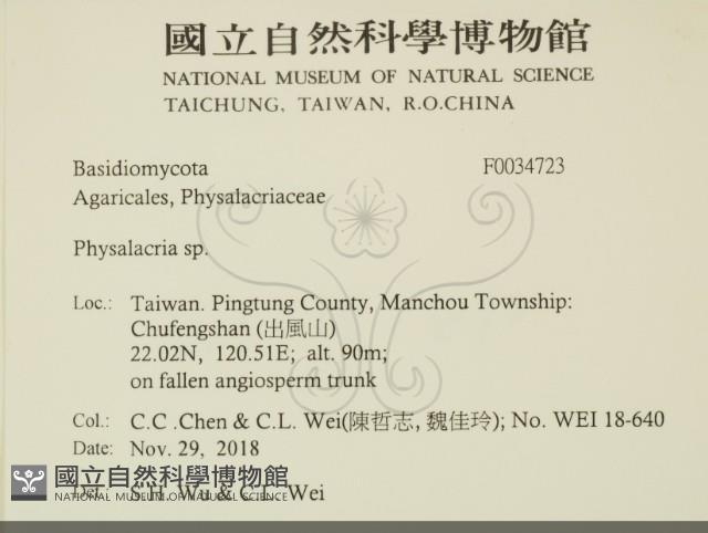 登錄號:F0034723藏品圖，第2張