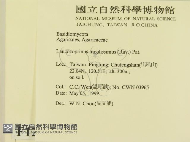 登錄號:F0012723藏品圖，第2張