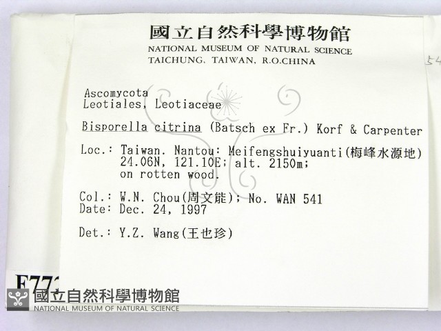 登錄號:F0007723藏品圖，第2張