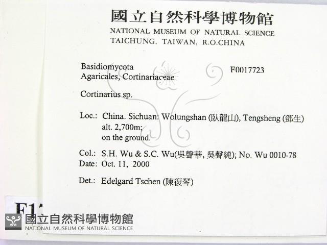 登錄號:F0017723藏品圖，第2張