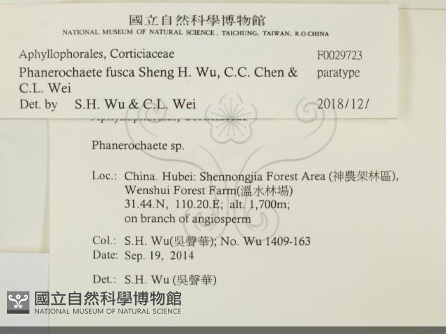 登錄號:F0029723藏品圖，第2張