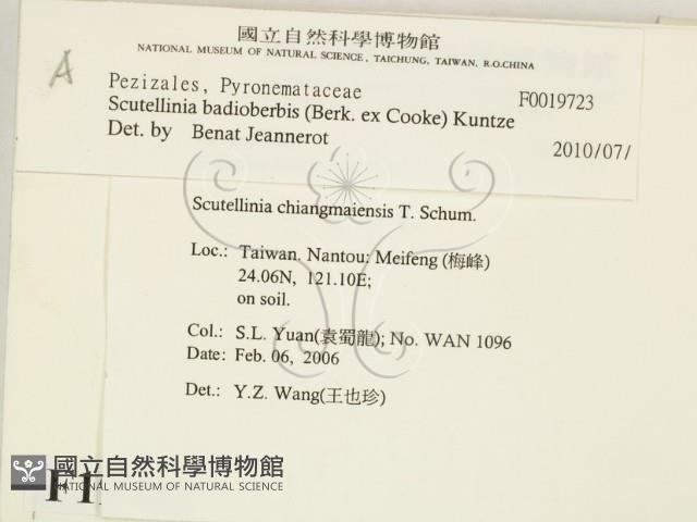 登錄號:F0019723藏品圖，第2張