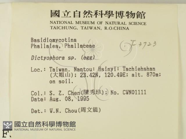 登錄號:F0003723藏品圖，第2張