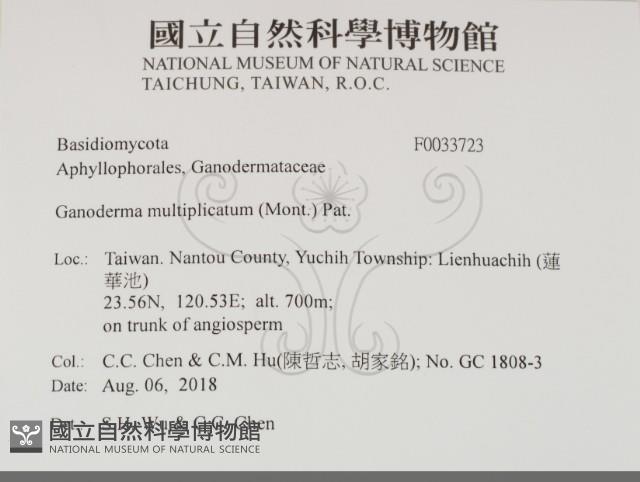 登錄號:F0033723藏品圖，第2張