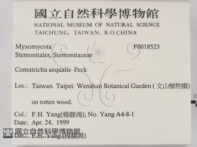 登錄號:F0018523藏品圖，第2張