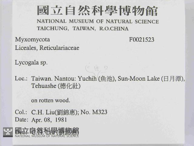 登錄號:F0021523藏品圖，第2張