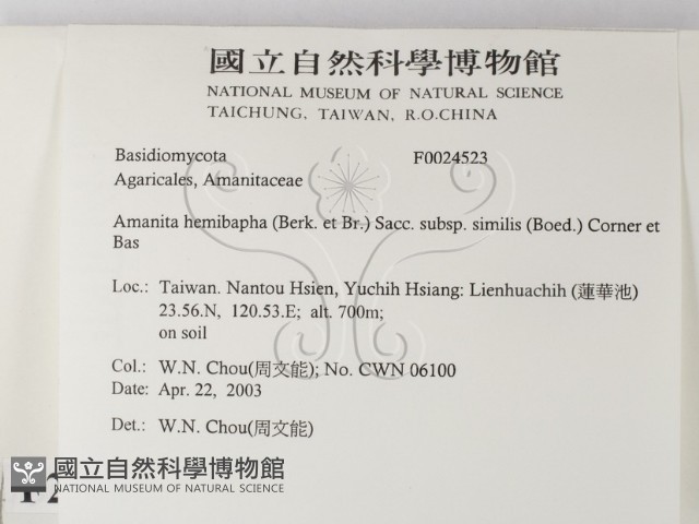 登錄號:F0024523藏品圖，第2張