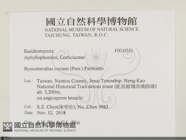 登錄號:F0034523藏品圖，第2張