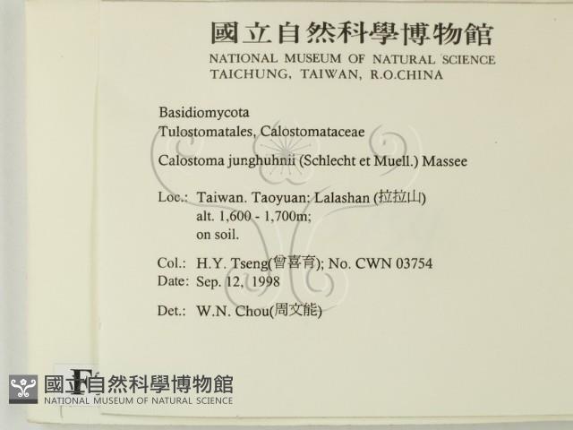 登錄號:F0012523藏品圖，第2張