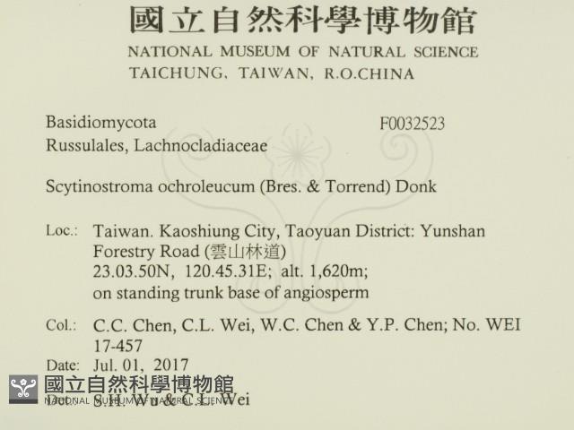 登錄號:F0032523藏品圖，第2張