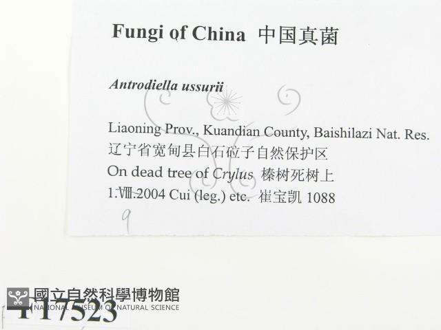 登錄號:F0017523藏品圖，第2張