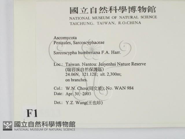 登錄號:F0015523藏品圖，第2張