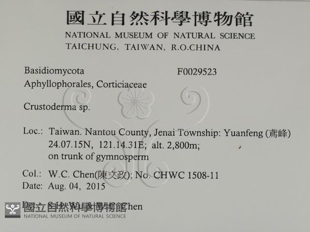 登錄號:F0029523藏品圖，第2張