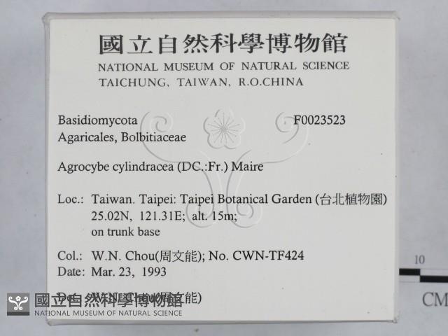 登錄號:F0023523藏品圖，第2張