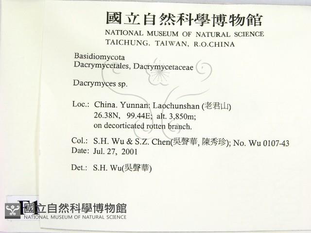 花耳屬藏品圖，第2張