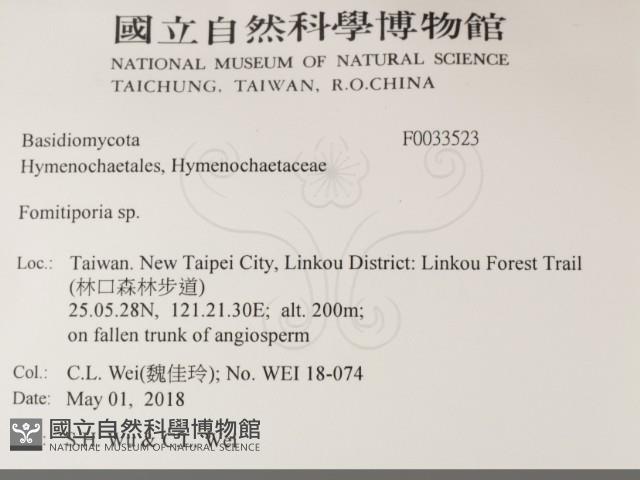 登錄號:F0033523藏品圖，第2張