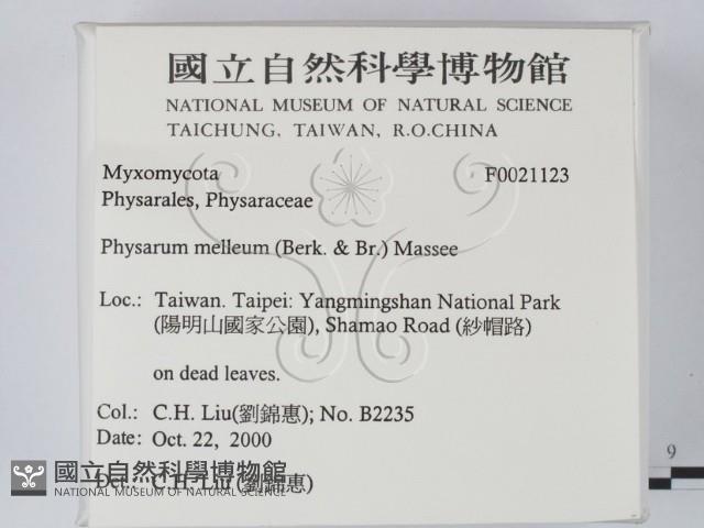 登錄號:F0021123藏品圖，第2張