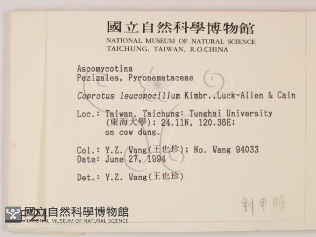 登錄號:F0002123藏品圖，第2張