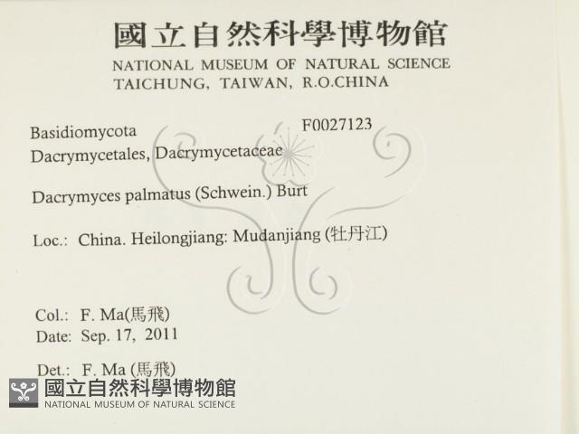 登錄號:F0027123藏品圖，第2張