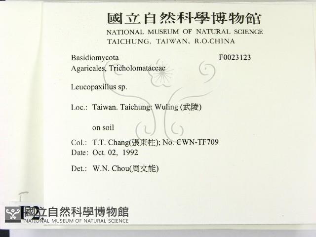 登錄號:F0023123藏品圖，第2張