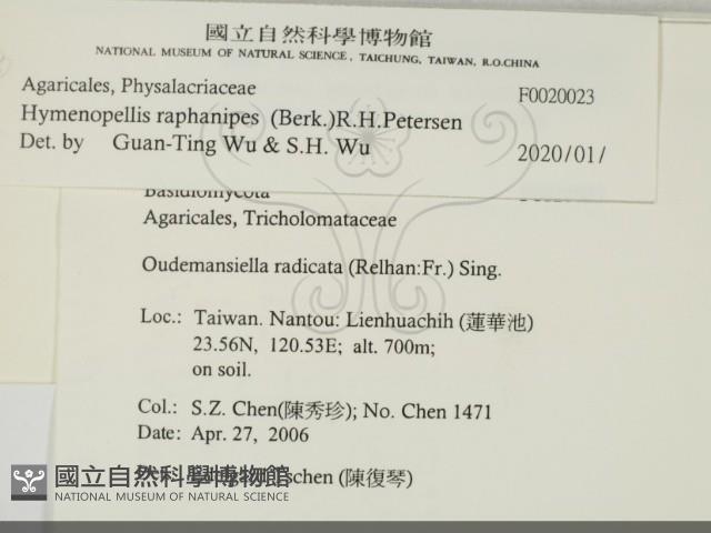 登錄號:F0020023藏品圖，第2張