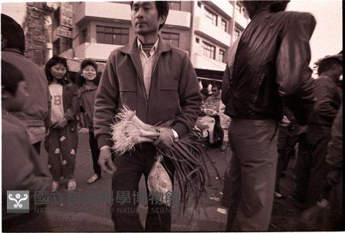 1950至2006年臺灣常民生活藏品圖，第1張