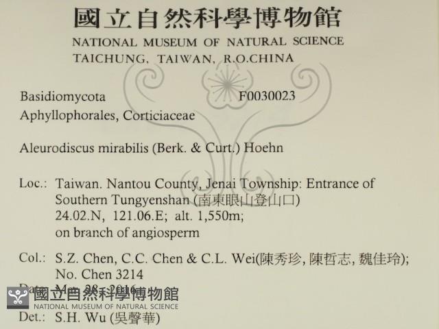 登錄號:F0030023藏品圖，第2張