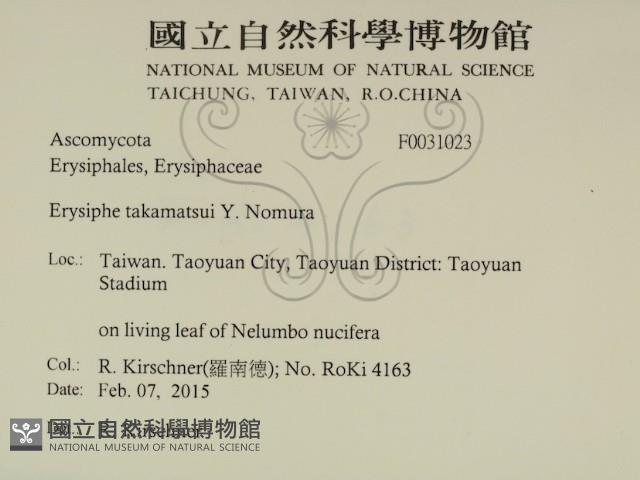 登錄號:F0031023藏品圖，第2張