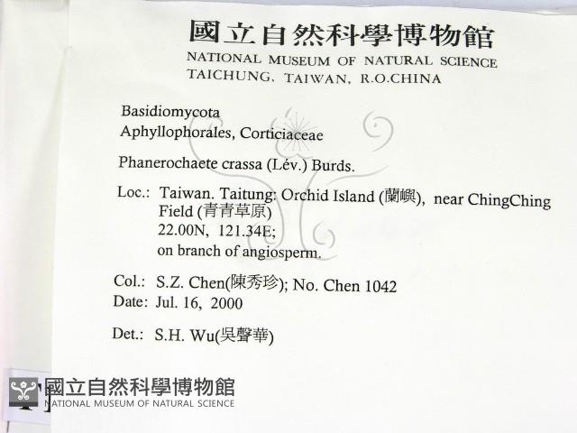 登錄號:F0012023藏品圖，第2張