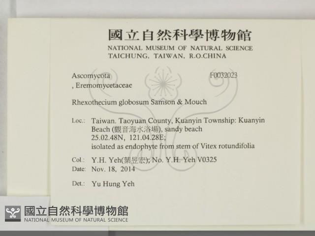 登錄號:F0032023藏品圖，第2張