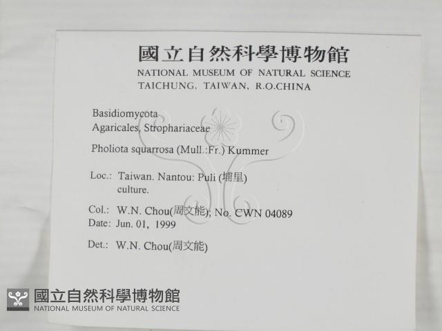 登錄號:F0013023藏品圖，第2張