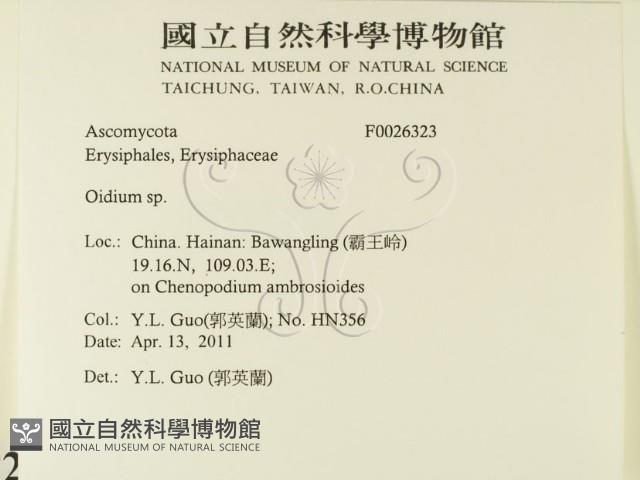 登錄號:F0026323藏品圖，第2張