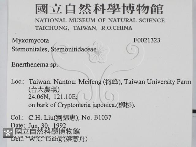 登錄號:F0021323藏品圖，第2張