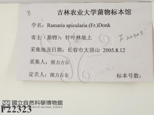 登錄號:F0022323藏品圖，第2張