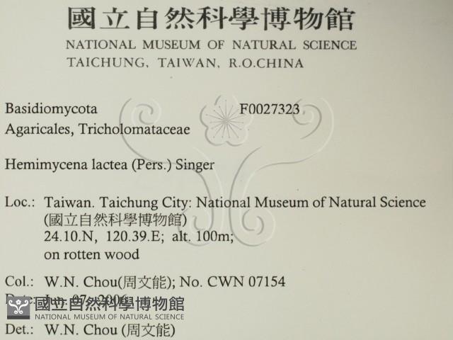 登錄號:F0027323藏品圖，第2張