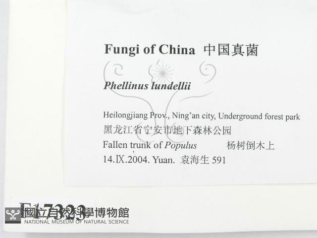 登錄號:F0017323藏品圖，第2張