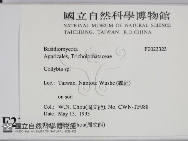 登錄號:F0023323藏品圖，第2張