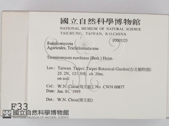 登錄號:F0003323藏品圖，第2張