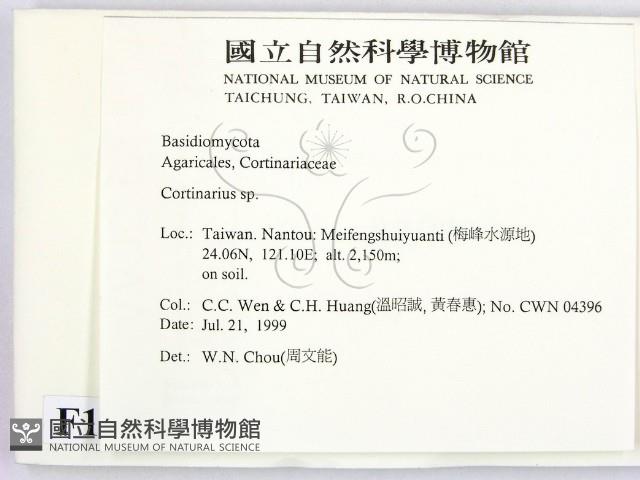 登錄號:F0013323藏品圖，第2張