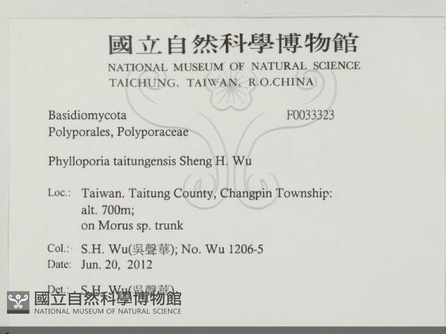 登錄號:F0033323藏品圖，第2張