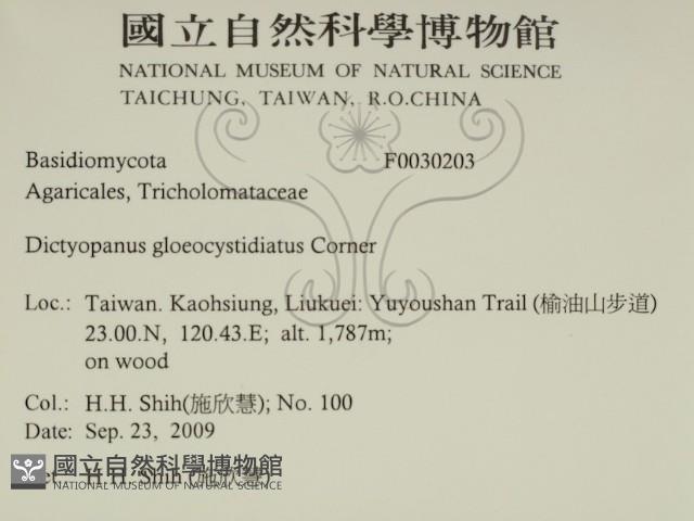 登錄號:F0030203藏品圖，第2張