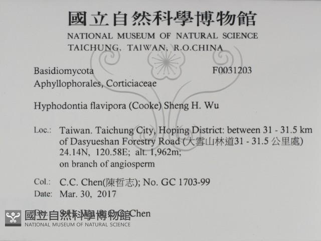 登錄號:F0031203藏品圖，第2張