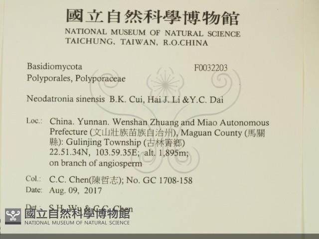 登錄號:F0032203藏品圖，第2張