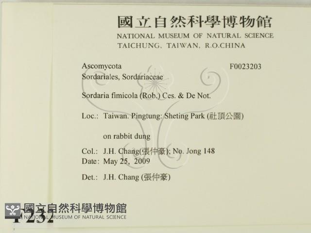 登錄號:F0023203藏品圖，第2張