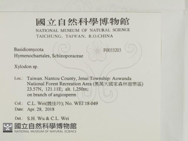 登錄號:F0033203藏品圖，第2張