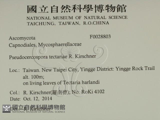 登錄號:F0028803藏品圖，第2張