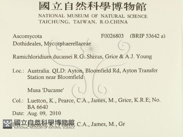 登錄號:F0026803藏品圖，第2張