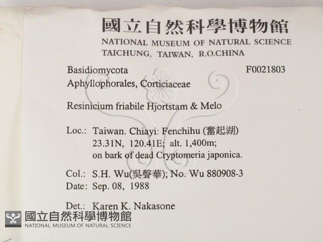登錄號:F0021803藏品圖，第2張