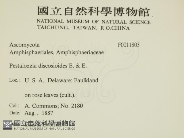 登錄號:F0011803藏品圖，第2張