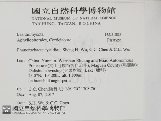 登錄號:F0031803藏品圖，第2張